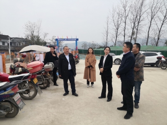 夏兮副縣長(zhǎng)檢查指導(dǎo)一館一中心項(xiàng)目建設(shè)工作